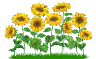 Sommerfest und Abschied 2012