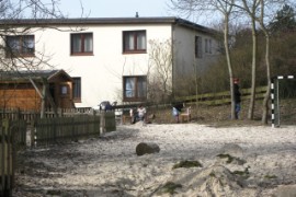 Spass in den AGs 1